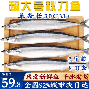 秋刀鱼新鲜冷冻商用 烧烤食材日式蒲烧 特级大号远洋海鱼批发 2斤