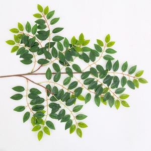 新叶子山花椒叶枝叶植物标本12枝植物拼贴画素材滴胶手机壳叶子榕