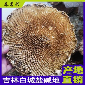 葵花杆带皮葵花杆子向日葵花杆芯花盘粉瓤根茎中药材一斤包邮2人付款