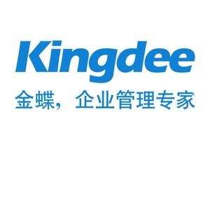 金蝶kis金管家破解版金蝶智慧记标准店铺版财税王天燕10.0加密狗