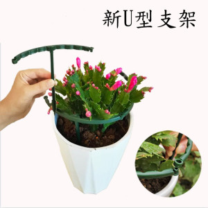 蟹爪兰支架多层双层园艺花架植物爬藤架子兰花绿萝防倒护叶支撑架