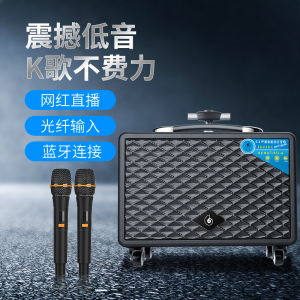 海螺hl525hl528/529户外唱歌音响便携式大功率乐器直播重低音音箱