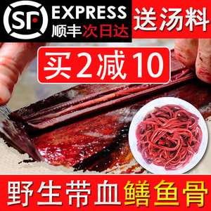 野黄鳝骨头鳝鱼骨新鲜长鱼黄鳝血骨头活杀补提低化疗升白细胞食物