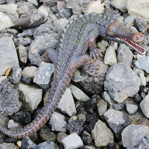 林畅模玩帝王鳄肌鳄鱼儿童玩具仿真动物模型史前生物远古巨兽时代