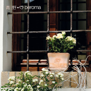 帝罗马玫瑰浮雕白陶花盆绿植鲜花种植陶土盆室内阳台庭院盆栽陶盆