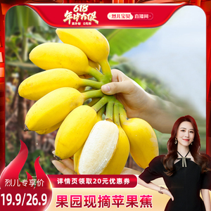 【烈儿宝贝直播间】广西苹果蕉3-5斤产地直发