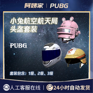 pubg绝地求生小兔航天局头盔皮肤套装1级2级3级吃鸡兑换码cdk端游