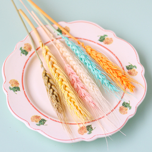 一烛永生花天然植物干花染色麦穗多色小麦麦子装饰家居插花5支