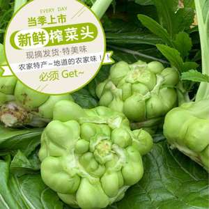 涪陵鲜榨菜头蔬菜