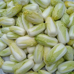 大娃娃菜新鲜现摘 霜打小白菜 农家自种 农家菜 应季蔬菜 5斤包邮