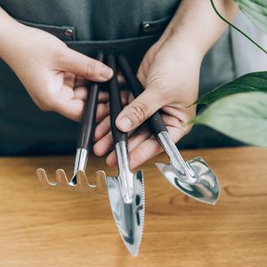 园艺迷你小铲子种花养花种植三件套多肉盆栽工具家用套装小型铁铲