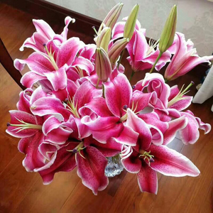 中国:卡瓦纳百合家庭插花云南昆明鲜花基地直发特价包邮~招!