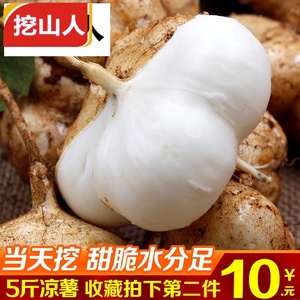 新鲜水果地梨儿沙葛凉薯农家云南现挖贵州10白地瓜土瓜5斤包邮