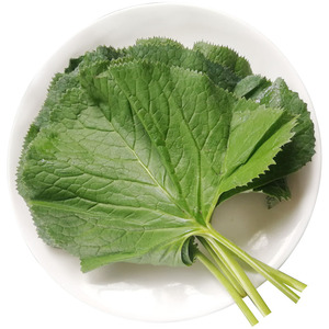 马蹄叶新鲜包邮