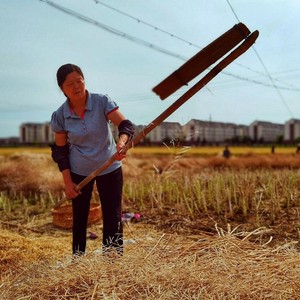 打菜籽农具农作工具农村种地高粱专用谷子小麦大豆麦子豌豆豆子