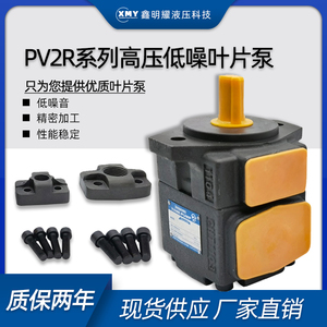 高压叶片泵PV2R1-10/12/14/17/19/23-F-1R双联液压油泵液压站总成