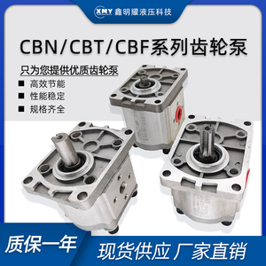 齿轮泵CBN-F310/314/316/320/325小型高压油泵液压站总成配件泵头