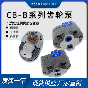齿轮泵CB-B10/B16/B20/B25/B32/B40/B50/B63/B80/100液压齿轮油泵