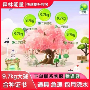 蚂蚁森林9.7kg能量球大抱枕绿色极速10000g包月合种证书道具