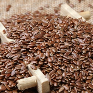 材 亚麻籽 亚麻子 大胡麻 胡麻子 亚麻仁 胡麻仁 500克包邮惠仁堂