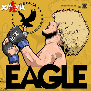 卫衣加绒男无帽 mma小鹰卡比布同款拳击训练服卫衣男ins港风加绒