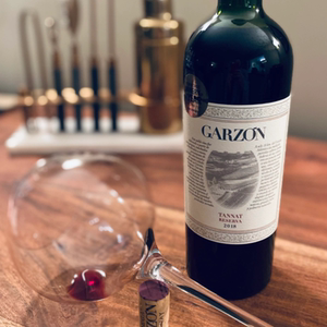 乌拉圭明珠 we年度新世界酒庄 嘉颂庄园丹娜珍藏干红葡萄酒2018年