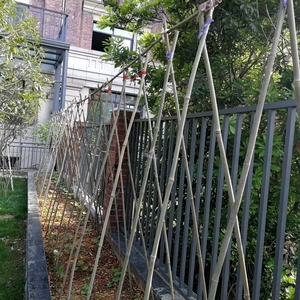 竹竿菜园搭架竹杆条3米豆角黄瓜架子小竹子竹篱笆栅栏围栏架杆棍