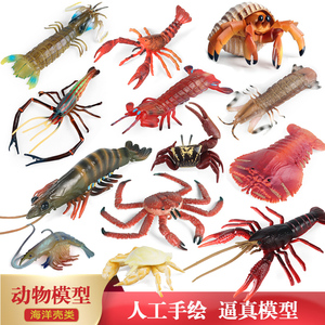 儿童海洋动物玩具皮皮虾模型小龙虾琵琶虾螃蟹帝王蟹寄居蟹鹦鹉螺