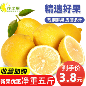 四川安岳县黄柠檬新鲜皮薄一级奶茶店专用商用批发香水甜柠檬青