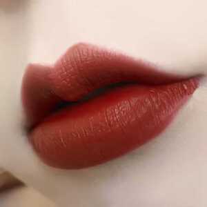 迪奥女王官网焦糖红棕色雕花口红哑光柔润易上色气质显白姨妈色草