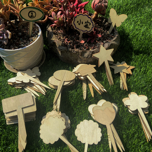 幼儿园环创植物角园艺标识指示牌区域区角插卡牌diy木质插件标签