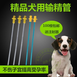 狗狗输精管兽用犬用输精工具宠物一次性采精狗人工受精器配种神器