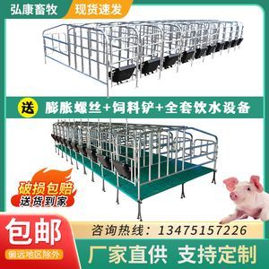 母猪定位栏落地式产床加厚带漏粪板热镀锌养殖设备器械猪用限位栏