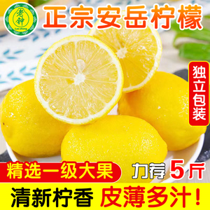 黄柠檬四川安岳大果当季新鲜水果香水柠檬一级皮薄孕妇青柠檬整箱