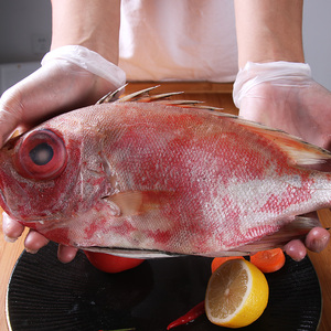 广东红大眼鸡红眼鱼新鲜冷冻深海富贵鱼鲜活整条红目鲢红目鳞