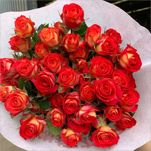 多头小玫瑰泡泡云南昆明鲜花花束基地直发速递同城配送生日爱丽丝