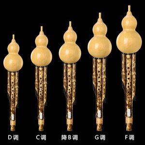 孔雀河梅鹿竹葫芦丝c调a/g/f/d/降b调学生成人专业演奏型乐器