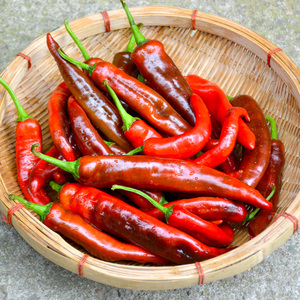 湖南本地大红辣椒 牛角红辣椒农家种植5斤包邮现摘现发薄皮辣椒