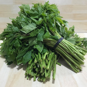 刺五加新鲜云南