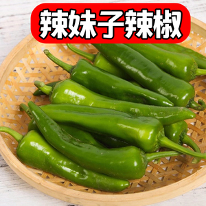 辣妹子辣椒5斤