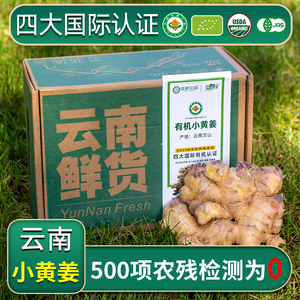 云南文山正宗小黄姜有机新鲜生姜新鲜食用现挖成熟月子姜带泥土姜