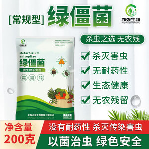 100亿/克绿僵菌有机微生物杀虫剂地老虎蝼蛄金龟子蛴螬臭虫蝗虫