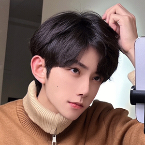 时尚中分短直发自然蓬松逼真男短发韩版帅气男士发型全头套1人付款29