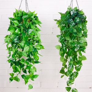 假绿箩藤仿真绿色装饰植物藤条塑料叶子室内壁挂假花绿植树叶藤蔓