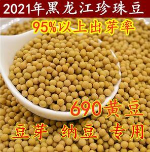 21年东北小粒黄豆690生豆芽纳豆专用珍珠粒小金黄5斤包邮