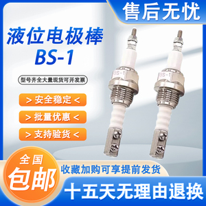 BS-1水位探针 水位控制器 液位电极棒单针耐温电极保持器