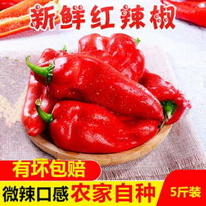 新鲜大红辣椒厚皮红辣椒大红尖椒新鲜蔬菜灯笼椒剁椒5斤顺丰包邮