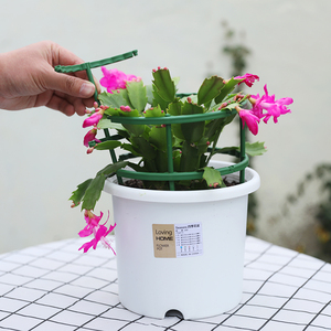 蟹爪兰支架多层双层园艺花架植物爬藤架子兰花绿萝防倒护叶支撑架