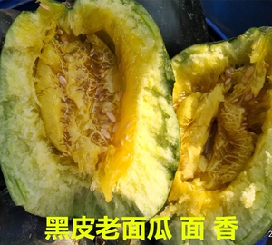 黑皮面瓜山东老面瓜非甜瓜香瓜低糖老人吃新鲜现摘单个装2斤包邮