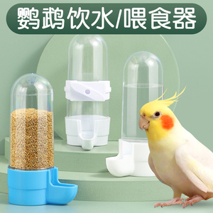 小鸟鹦鹉喝水神器自动喂食下料鸽子专用饮水器壶鸟笼食盒配件大全
